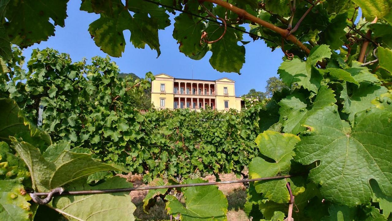 Ferienhaus Rauwolf Mit 2 Ferienwohnungen Roschbach المظهر الخارجي الصورة
